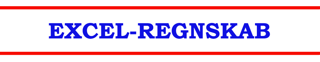 Excel regnskabs logo